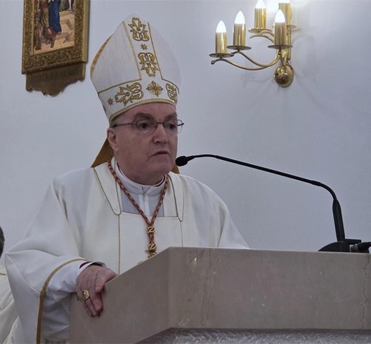 Homilija kardinala Josipa Bozanića na misi krštenja Benjamina Jozića u Zaboku